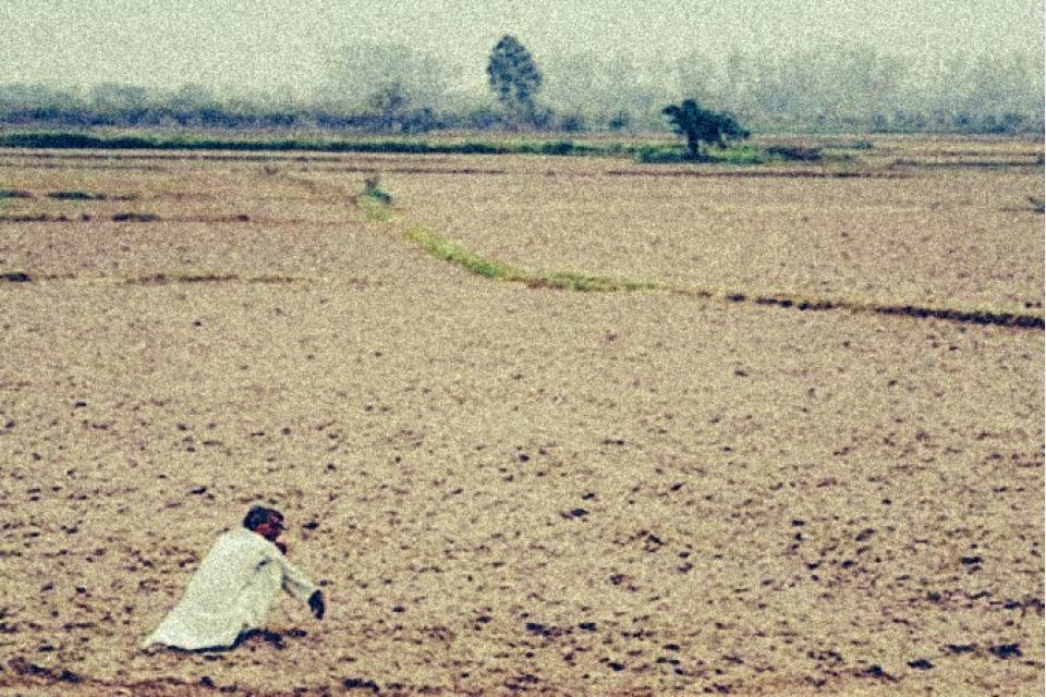 Poor monsoon could spell disaster for India's agriculture-based economy, say experts